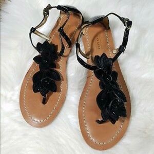 Coach Sierra sandals BNWB never worn.